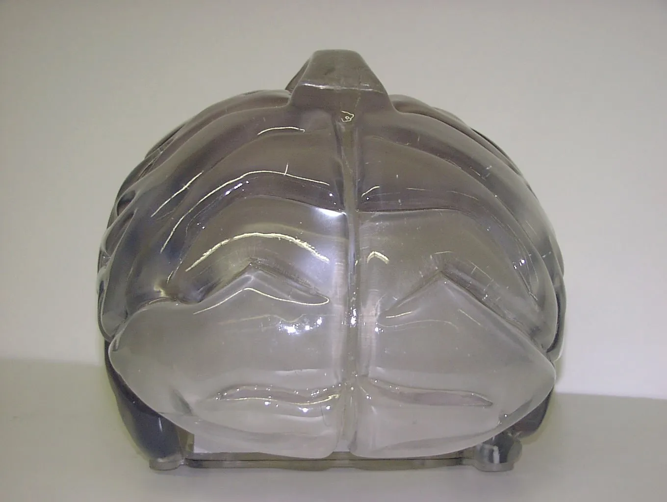 Gehirnmodell aus Acrylglas in der Seitenansicht